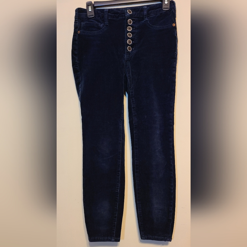 Anthropology Pilcro High Rise Skinny Corduroy Dark Blue Pants Size 27